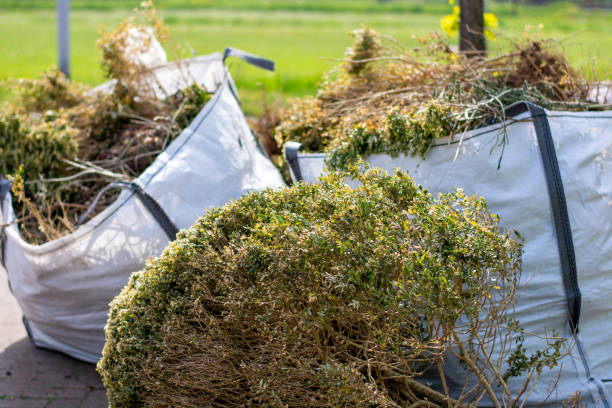 Best Residential Junk Removal  in Beecher, MI